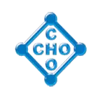 Cho Cho Company Limited